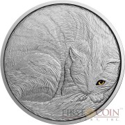 Niue Island THE CAT series ANIMALS $5 Silver coin 2016 Hand made Antique finish 2 oz