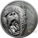 Cook Islands GRIZZLY BEAR series NORTH AMERICAN PREDATORS Silver coin 2017 Antique finish High relief 2 oz