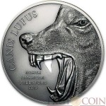 Cook Islands GRAY WOLF CANIS LUPUS series NORTH AMERICAN PREDATORS Silver coin 2015 Antique finish High relief 2 oz