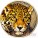 Cameroon Leopard "African Big Five" series High Relief Colored Silver coin 1,000 Francs 1 oz Antique Finish 2013