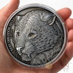 Burkina Faso Baby SMILODON Saber Toothed Tiger 5,000 Francs CFA Prehistoric Animals series Real Eyes High Relief Silver coin 4 oz Antique Finish 2013