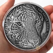 Tokelau Asian Tiger High Relief $5 Silver coin 5 oz Antique Finish 2013
