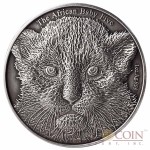 Burundi Baby Leopard "African Baby Big Five" series High Relief Silver coin 5,000 Francs 1 oz Antique Finish 2014