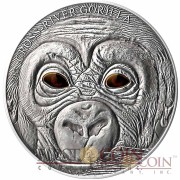 Cameroon Baby Cross River Gorilla Real Eye Effect Silver Coin 2013 Antique Finish 1000 Francs 1 oz