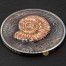 Mongolia AMMONITE Series EVOLUTION OF LIFE Silver Coin 500 Togrog Antique finish 2015 Rose gold plated Sensational High Relief Smartminting 1 oz