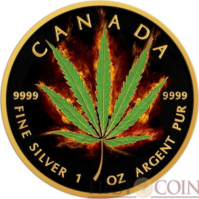 Canada SATIVA CANNABIS series BURNING MARIJUANA $5 Silver Coin CANADIAN MAPLE LEAF 2016 Black Ruthenium & Gold Plated 1 oz