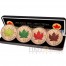 Canada CANADIAN MAPLE LEAF FOUR SEASONS 2016 Four Silver Coin Set $20 GOLD PLATED Edition 4 oz