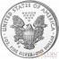 USA American Silver Eagle $1 Gilded 2015 Silver coin 1 oz