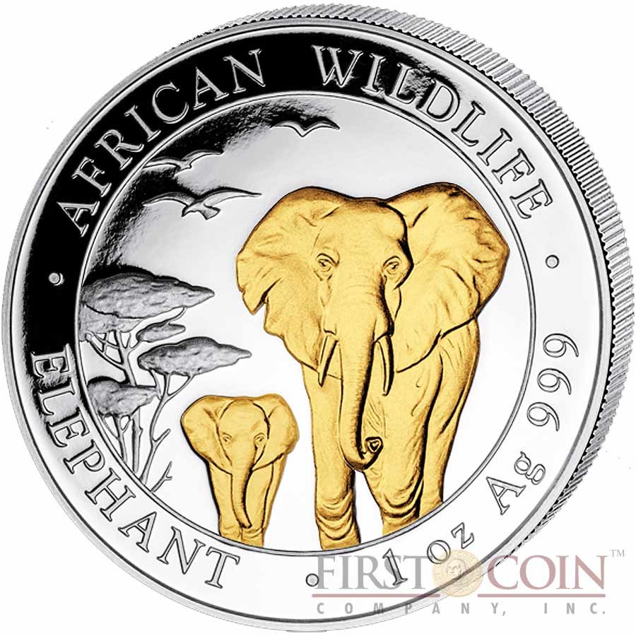 Somalia Elephant 100 Shillings series African Wildlife Gilded