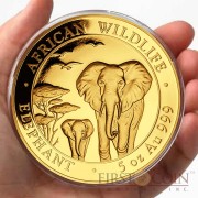 Somalia Elephant 1500 Shillings series African Wildlife Gold 5 oz Coin 2015 Proof