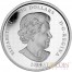 Canada Maple Leaf Forever $250 Silver Coin Enamel 2014 Proof 1 Kilo / Kg