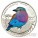 Burkina Faso LILAC BREASTED ROLLER series BIRDING Silver Coin 500 Francs 2013 Colored