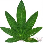 Benin CANNABIS SATIVA SHAPE series FAMOUS PLANTS Marijuana Scented Copper-Nickel Silver plated coin Colored 2011 Proof