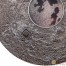 Cook Islands MOON EARTH SATELLITE $20 Silver Coin Real Moon meteorite piece 2017 Antique finish Lens convex shape 3 oz