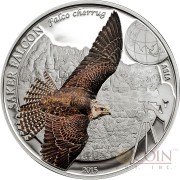 Mongolia SAKER FALCON series BIRDING Silver coin 250 Tugrik 2015 Partly colored