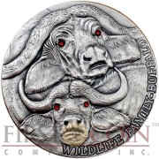 Niue Island 1 oz BUFFALO series WILDLIFE FAMILY $1 Silver coin 2014