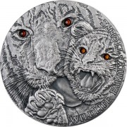 Niue Island 1 oz TIGERS series WILDLIFE FAMILY $1 Silver coin 2013