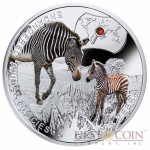 Niue Island Grevy's Zebra Silver Coin "SOS to the World – Endangered Animal Species" Series $1 Colored 2014 Proof with Swarovski Elements