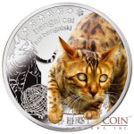 Niue Bengal Cat Silver Coin Man's best friends - Cats Series $1 Colored 2014 Proof with Swarovski