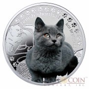 Niue British Shorthair Cat Silver Coin Man's best friends - Cats Series $1 Colored 2014 Proof with Swarovski