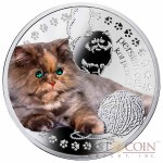 Niue Persian Cat Silver Coin Man's best friends - Cats Series $1 Colored 2014 Proof with Swarovski