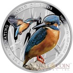 Niue The Kingfisher Silver Coin The Fascinating World of Birds Series $1 Colored 2014 Proof
