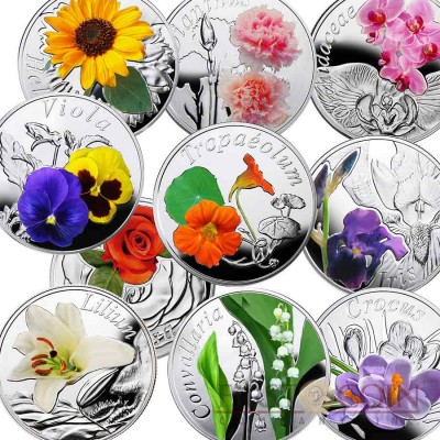 Belarus "Under the Charm of Flowers" 10 Coin Set Silver 100 Rubles Colored 2013 Proof ~5 oz