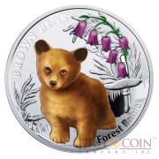 Niue Brown Bear Silver Coin "Forest Babies" Series $1 Colored 2014 Proof