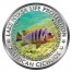 Copper Colored Coin PSEUDOTROPHEUS ZEBRA LONG PELVIC GALIREA REEF 2010 "African Cichlids” Series, Malawi 