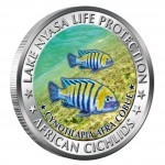 Copper Colored Coin CYNOTILAPIA AFRA COBUE 2010 "African Cichlids” Series, Malawi 