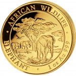 Gold Bullion Coin ELEPHANT 2012 "African Wildlife" Series - 1 oz