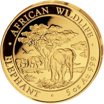 Gold Coin ELEPHANT 2012 "African Wildlife" Series - 5 oz