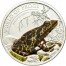 Silver Coin ATELOPUS CERTUS ORANGE 2011 "World of Frogs” Series