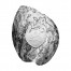 Silver Coin HALIOTIS IRIS (OYSTER, SHELL) 2012 "Sea Treasures" Series, Palau