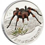 Silver Coin MEXICAN REDKNEE TARANTULA 2011 "Venomous Spiders” Series