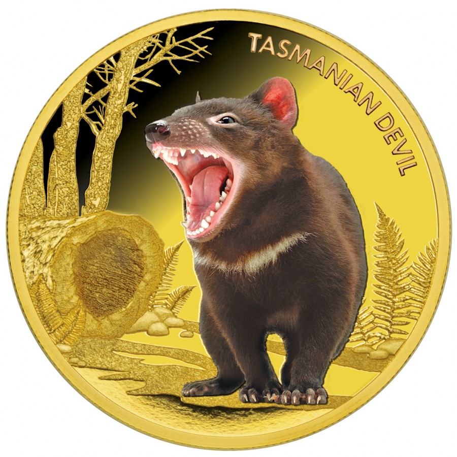 2013 Tuvalu Tasmanian Devil  coin from Perth Mint Top packaging. Top coin 