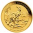 Gold Bullion Coin AUSTRALIAN KANGAROO 2013  - 1/2 oz