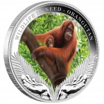 Silver Coin ORANGUTAN 2011 "Wildlife in Need" Series