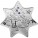 Silver Coin CHRISTMAS STAR 2010