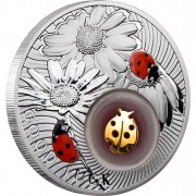 Silver Coin LADYBIRD 2012 “Lucky coins” Series with 24K Gold Plated Piece